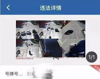 交警12123app v3.3.7 安卓版 交警12123app v3.3.7 安卓版