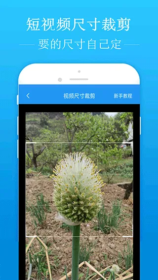 去水印吧手机版 v2.1.9安卓版