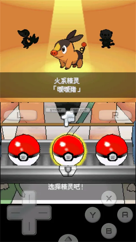 口袋妖怪超透黑2 v2.5安卓版