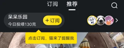 哈啰街猫app v3.4.1安卓版