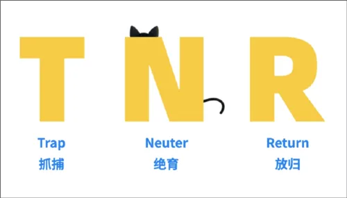 哈啰街猫app v3.4.1安卓版