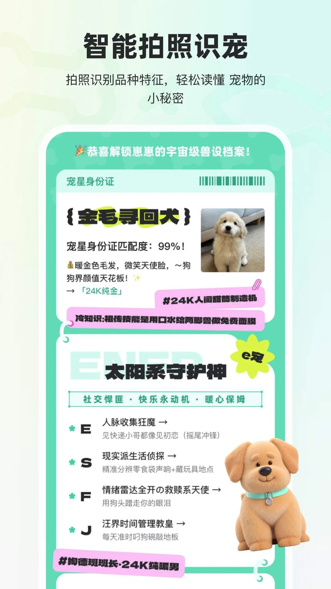 宠拍档app v1.4.1 安卓版