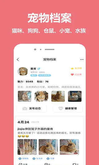 宠物王国app v5.3.2安卓版