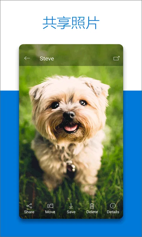 微软云盘onedrive手机版 v7.52