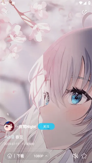 星咩视频壁纸app 星咩视频壁纸app
