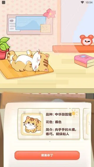 桌面喵最新版 v2.0.5安卓版