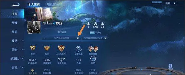王者荣耀抢先服 v11.31.1.2安卓版
