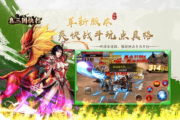 真三国快打九游版 v6.80安卓版