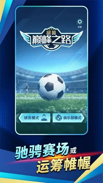 绿茵巅峰之路游戏 绿茵巅峰之路游戏