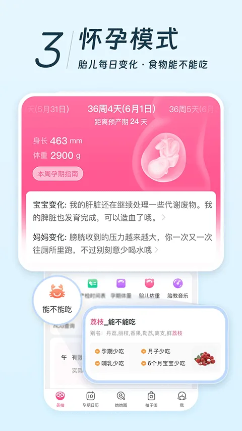 美柚月经app v9.03.0.0安卓版