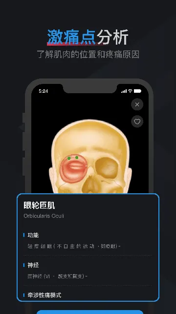 肌肉激痛点图谱软件下载v1.2 安卓版 肌肉激痛点图谱软件下载v1.2 安卓版