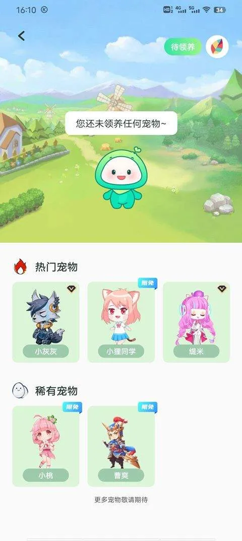 飞火动态壁纸手机版 v2.2.13安卓版