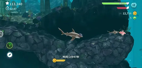 饥饿鲨进化国际服最新版(Hungry Shark) v13.9.2安卓版